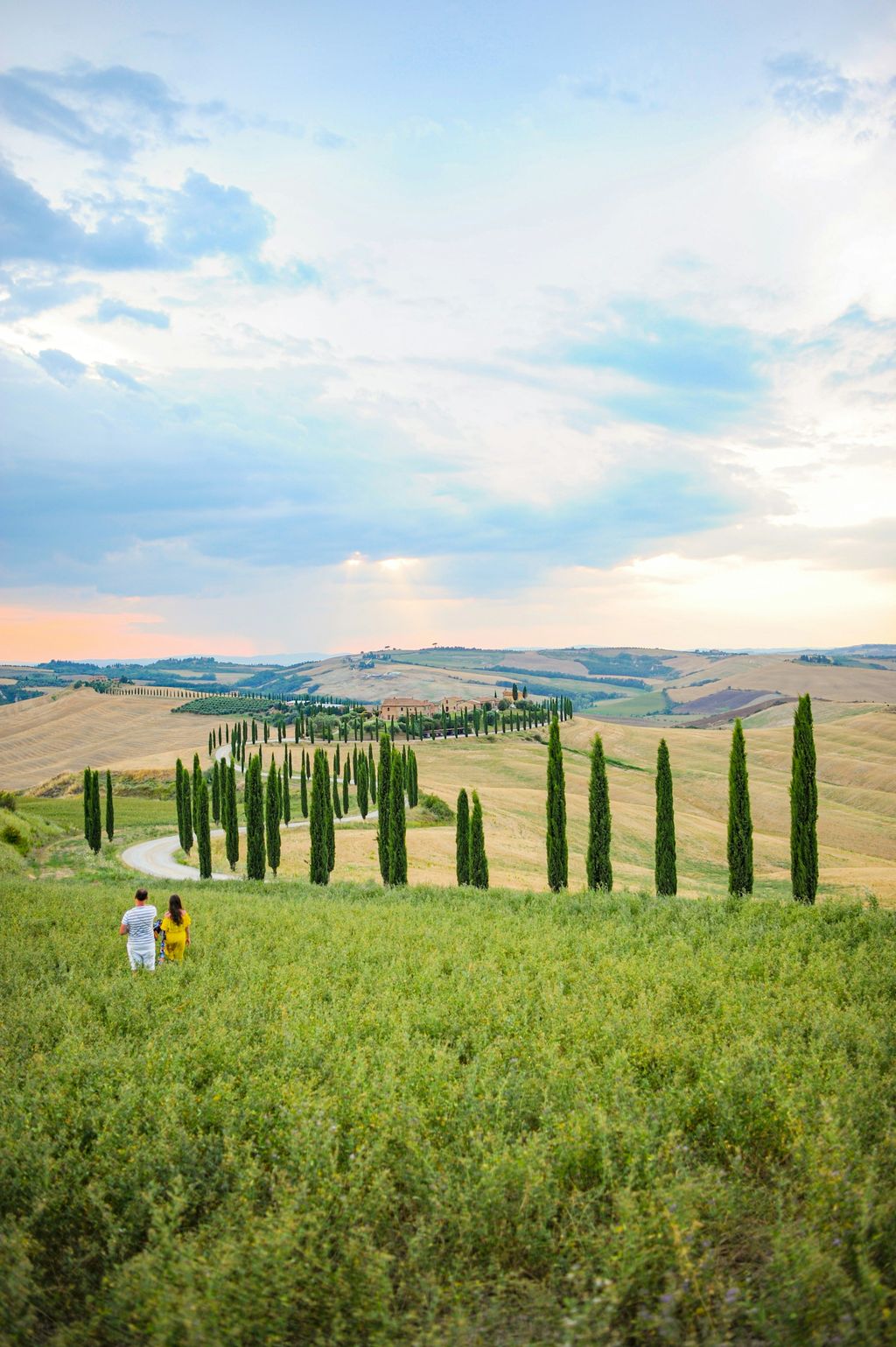 Colline toscane con i cipressi sotto il cielo azzurro